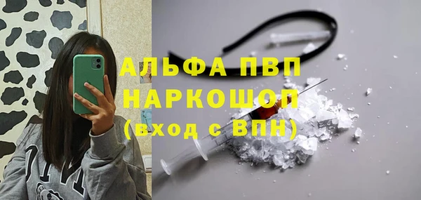 индика Сатка