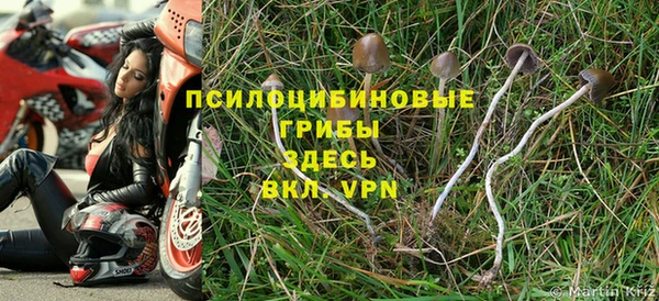 ECSTASY Абаза