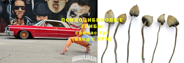 индика Сатка