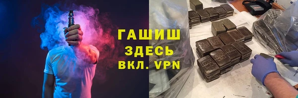 индика Сатка