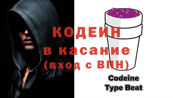 индика Сатка