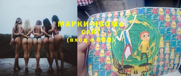 индика Сатка
