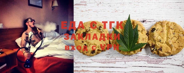 индика Сатка