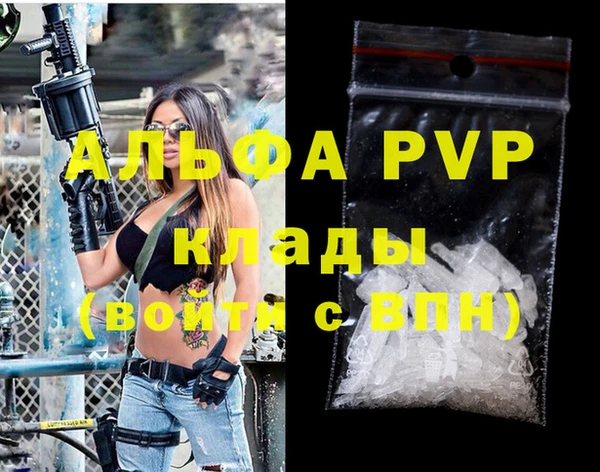 индика Сатка
