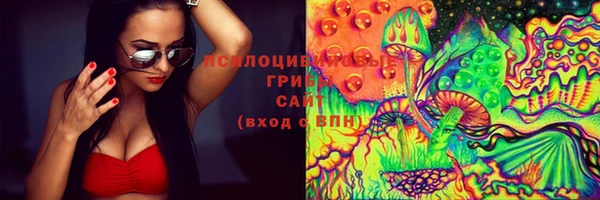ECSTASY Абаза