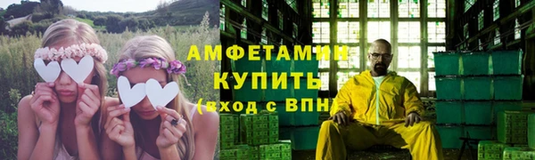 индика Сатка