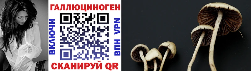 omg онион  Касимов  Псилоцибиновые грибы мухоморы  наркотики 