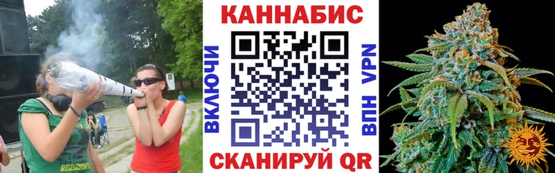 как найти наркотики  Касимов  площадка официальный сайт  Конопля индика 